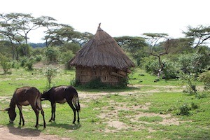 Ethiopia